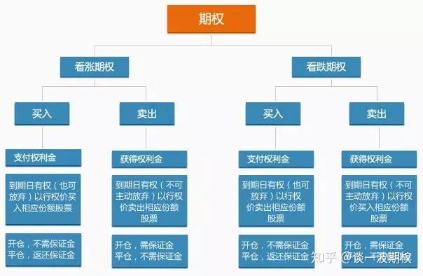 市六届人大常委会第三十一次会议召开