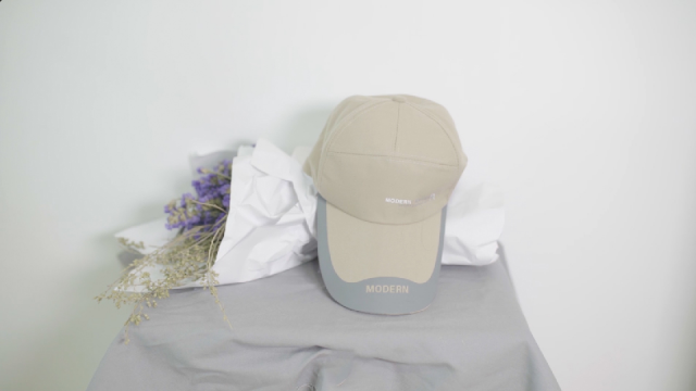 8月11日起深圳北往返重庆东加开夜间动卧,经停张家界