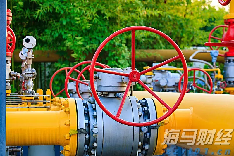 新股前瞻|问止中医抢滩港股,中医+AI的增长潜力能否支撑其发展?