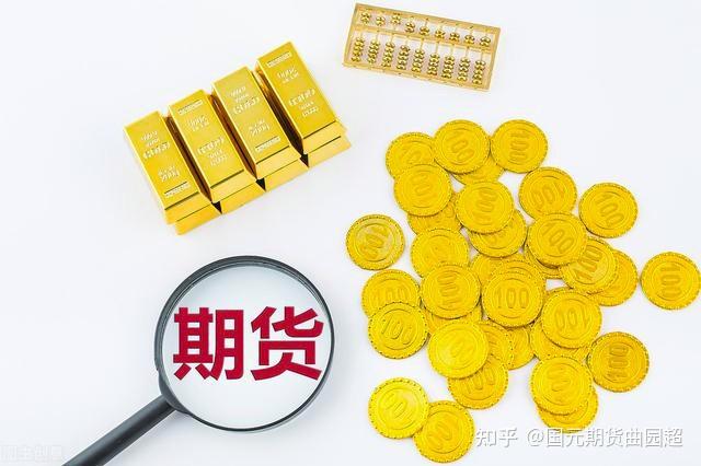 市六届人大常委会第三十一次会议召开